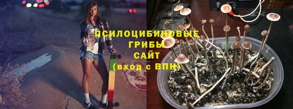 jwh Богородицк
