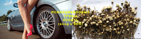 jwh Богородицк