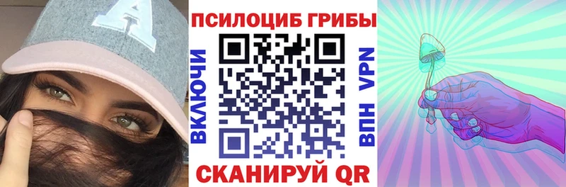 KRAKEN зеркало  Нижний Тагил  Псилоцибиновые грибы мицелий  магазин   