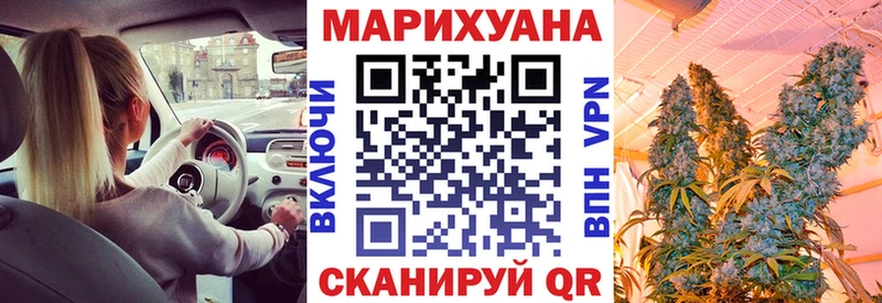 Конопля гибрид  Нижний Тагил 
